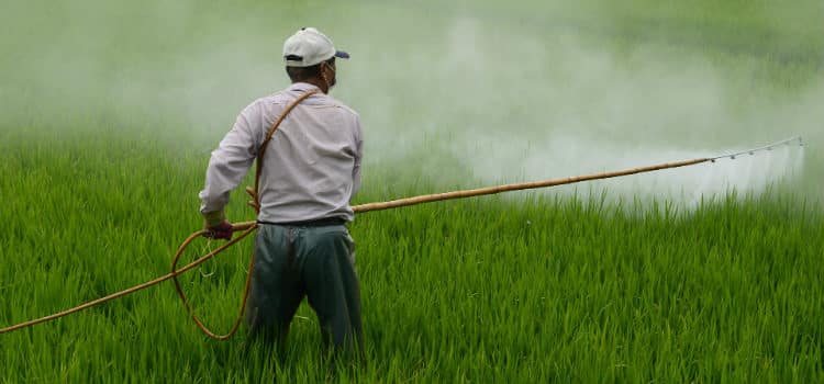 Farmer Spraying Herbicide