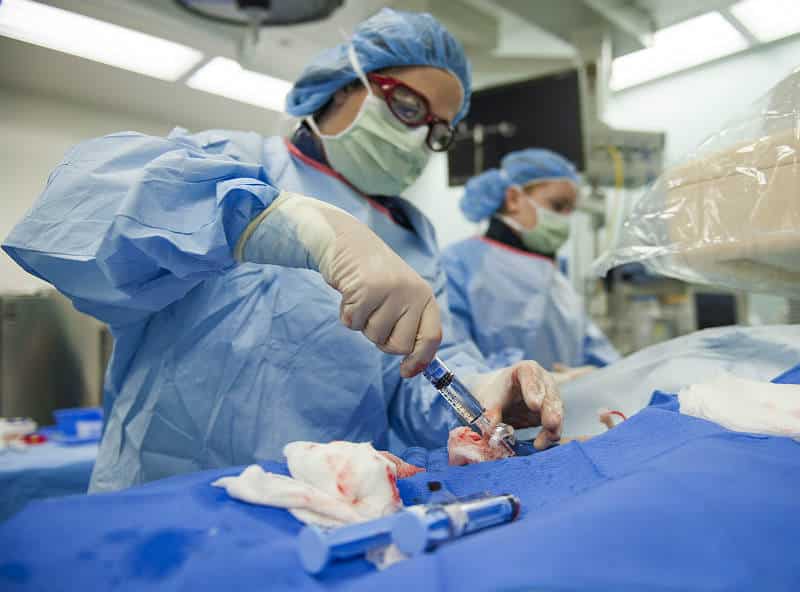 Open Heart Surgery Operation