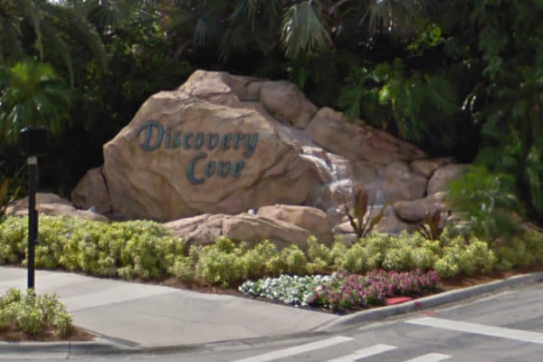 Orlando, FL - 13-Year-Old Girl Found Unresponsive in Discovery Cove Pool Dies