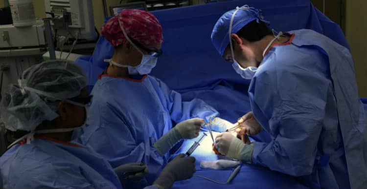 Surgeons Performing Hip Revision Surgery