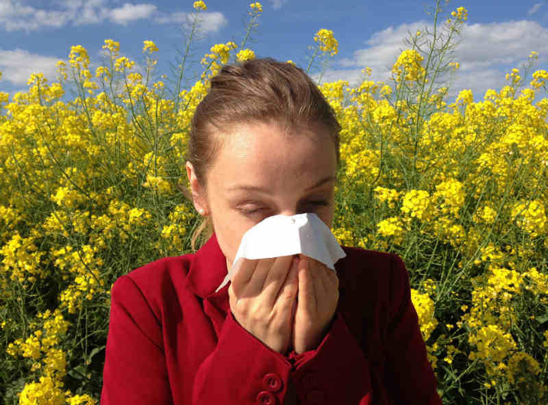 Woman Sneezing In Field